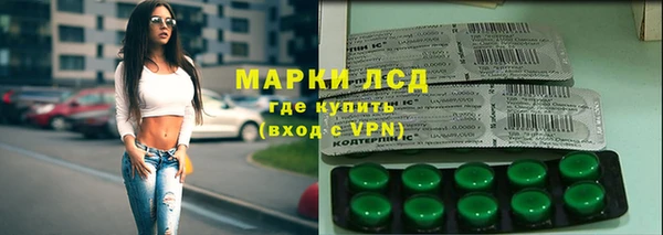 индика Володарск