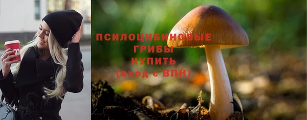 индика Володарск