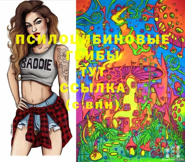 индика Володарск