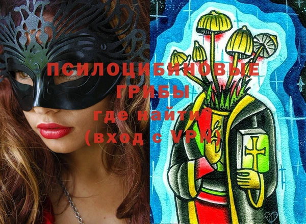 индика Володарск