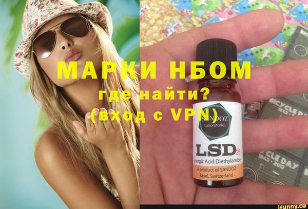 индика Володарск