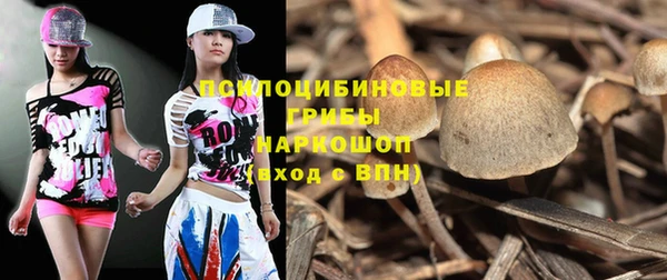 твердый Майский