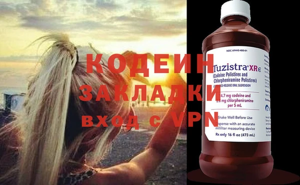 индика Володарск