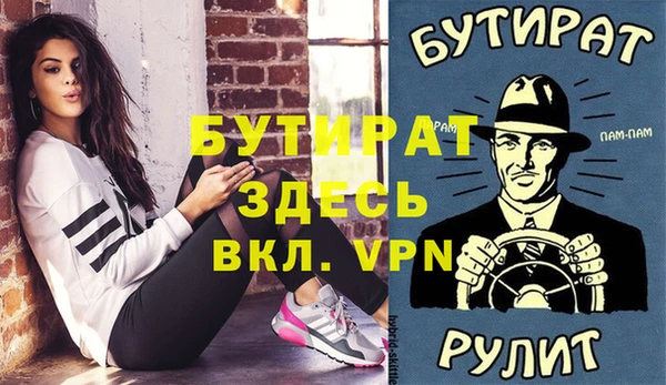 индика Володарск