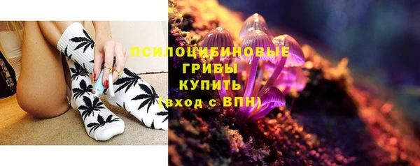 индика Володарск
